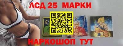 твердый Бердск