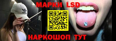 твердый Бердск