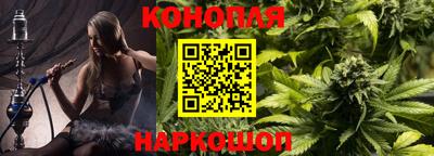 твердый Бердск