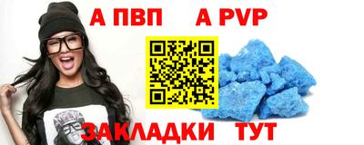 твердый Бердск