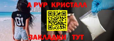 твердый Бердск