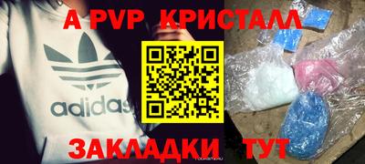 твердый Бердск