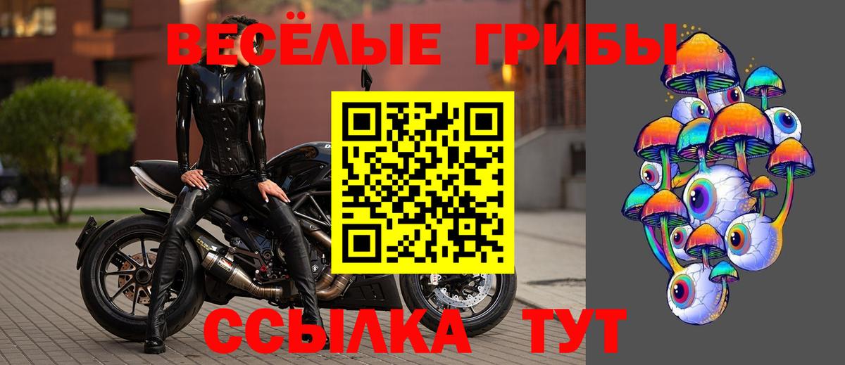 Галлюциногенные грибы Psilocybe Белово