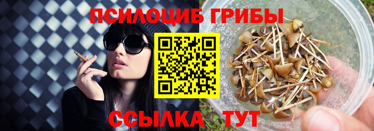 Псилоцибиновые грибы Magic Shrooms  Вход с VPN  Белово 